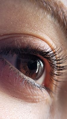 Lash Lifting